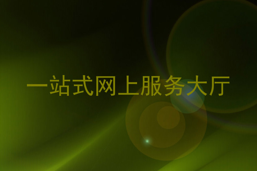 一站式网上服务大厅