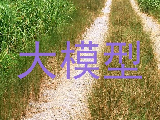 大模型