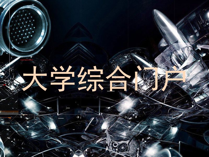 大学综合门户