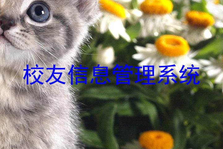校友信息管理系统
