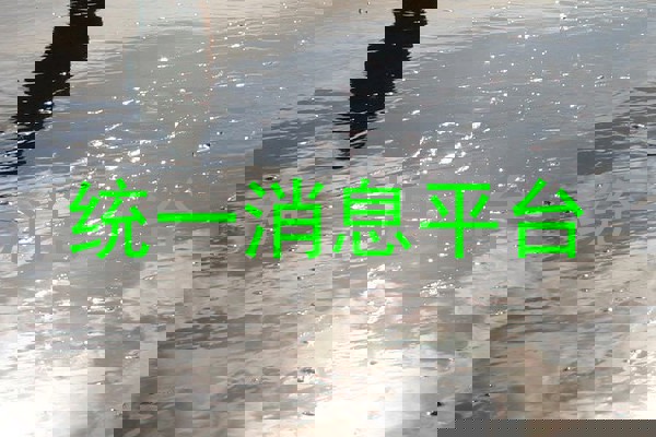 统一消息平台