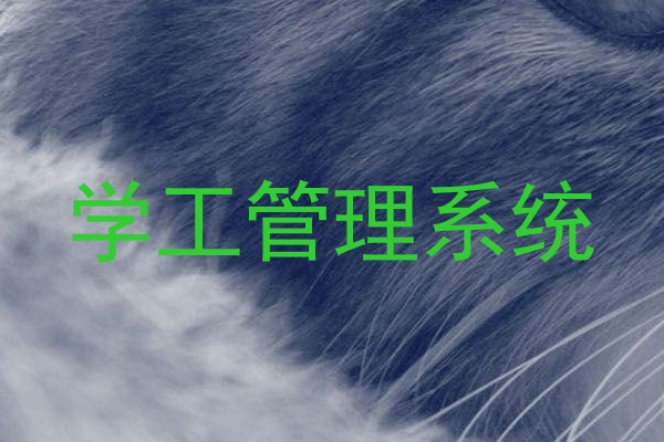 学工管理系统
