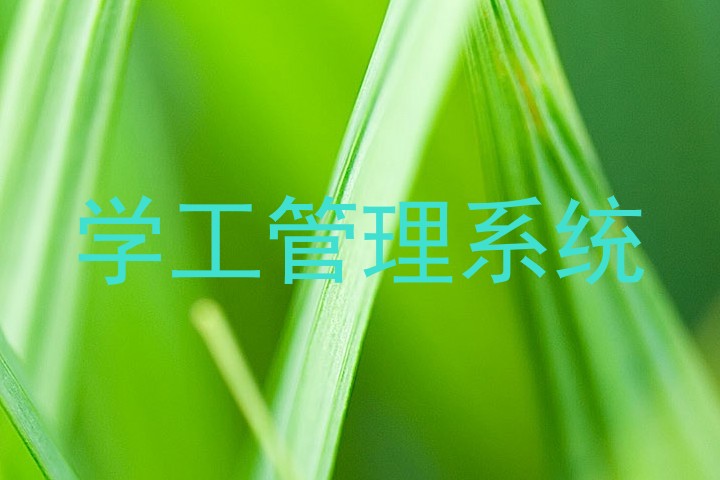 学工管理系统