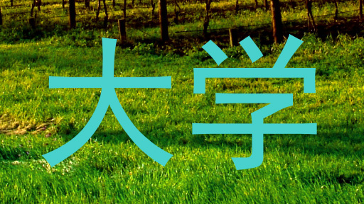 大学