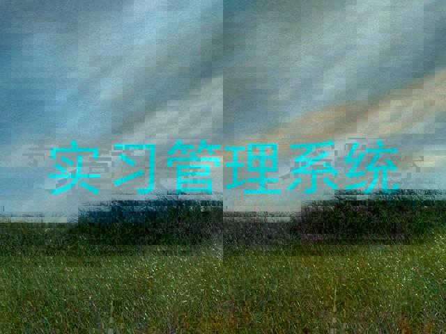 实习管理系统
