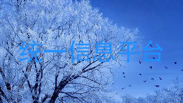 统一信息平台