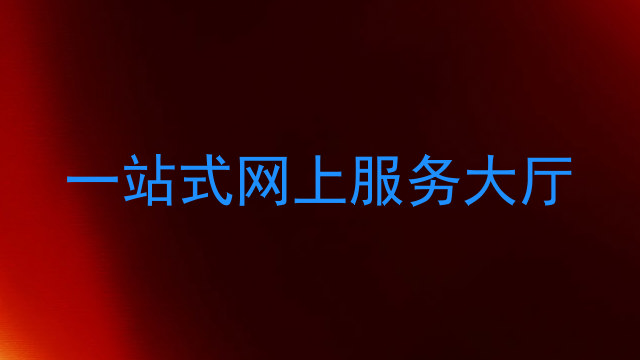 一站式网上服务大厅