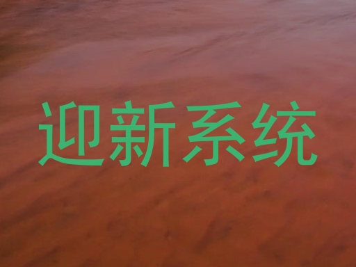 迎新系统