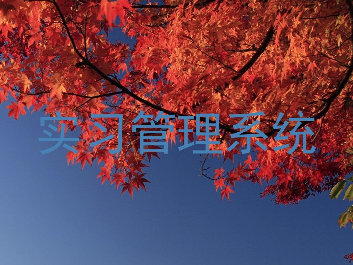 实习管理系统
