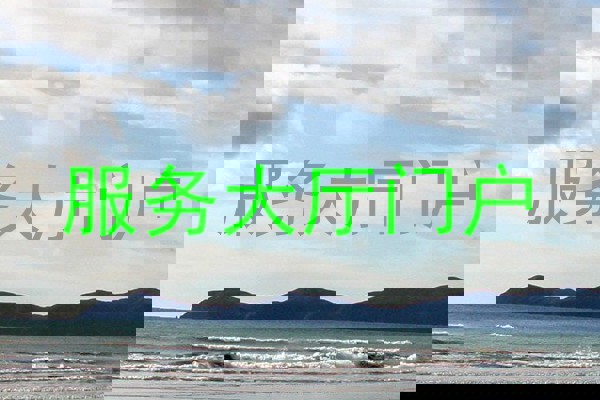 服务大厅门户