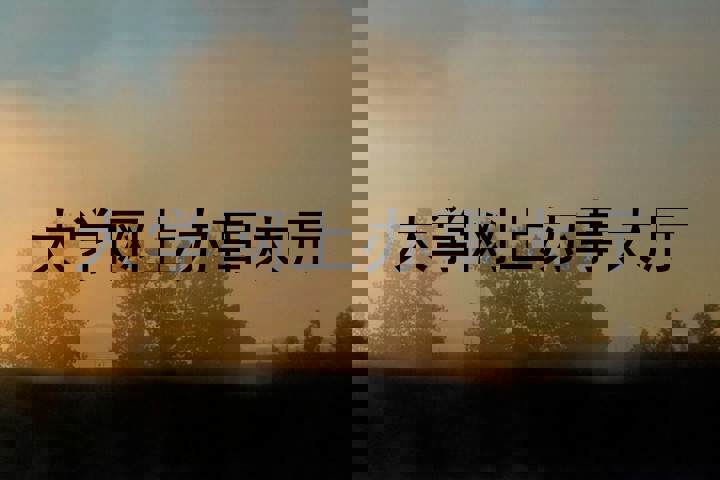 大学网上办事大厅