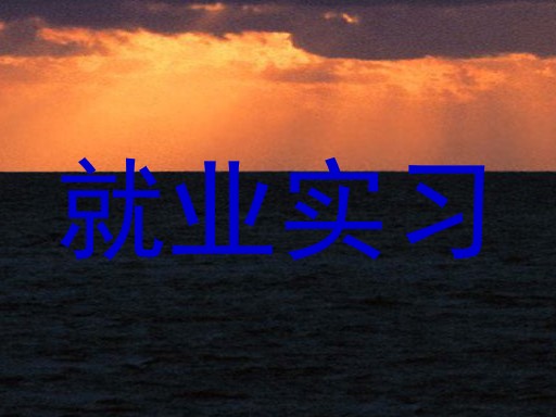 就业实习