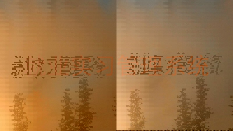 就业实习管理系统