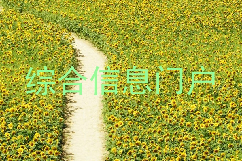 综合信息门户