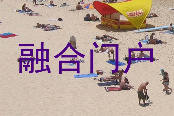 融合门户