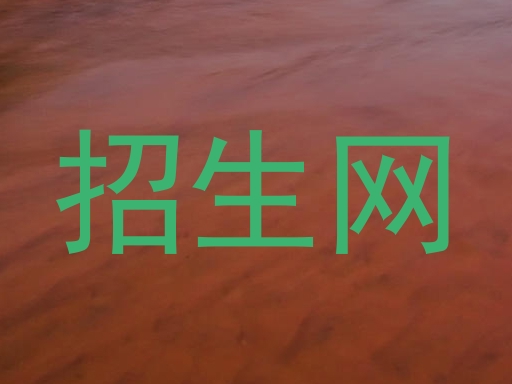 招生网