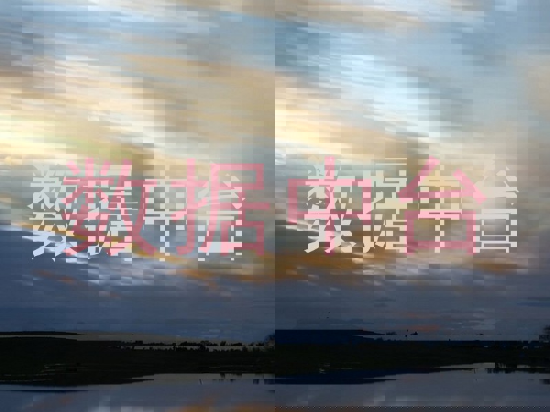 数据中台