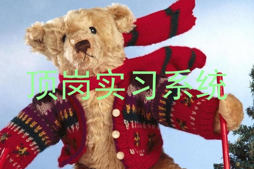 顶岗实习系统