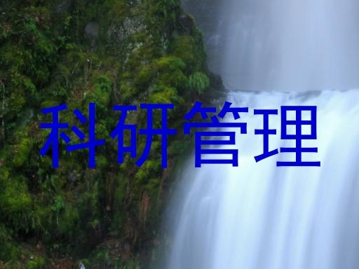 科研管理
