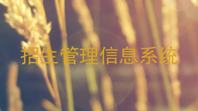 招生管理信息系统
