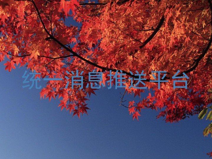 统一消息推送平台