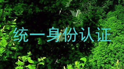 统一身份认证