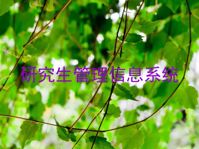 研究生管理信息系统