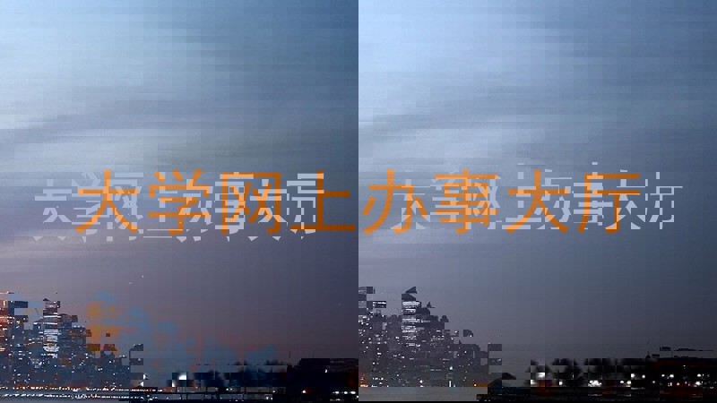 大学网上办事大厅