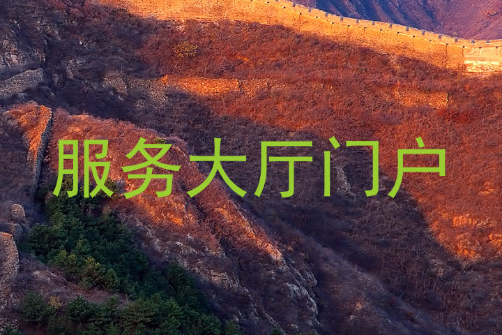 服务大厅门户