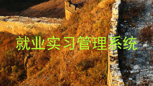 就业实习管理系统