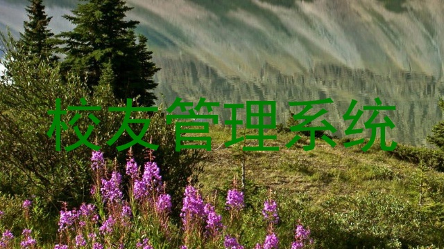 校友管理系统