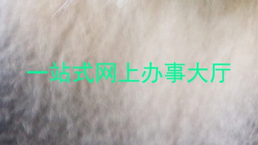 一站式网上办事大厅