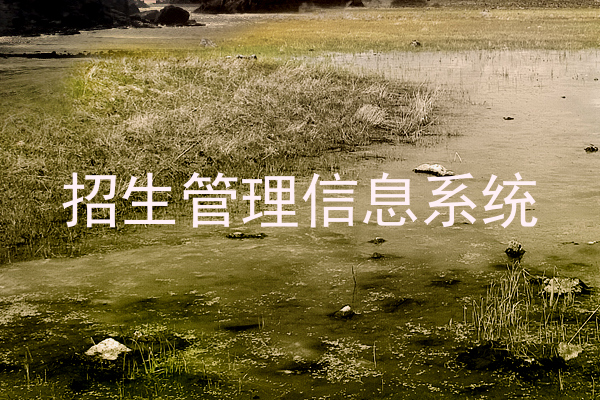 招生管理信息系统