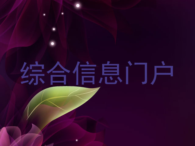 综合信息门户