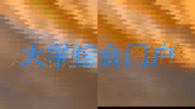大学综合门户