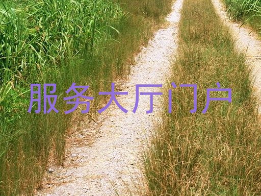 服务大厅门户