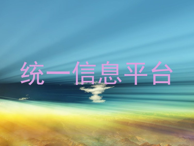 统一信息平台
