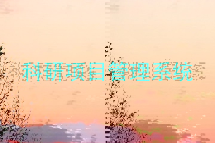 科研项目管理系统