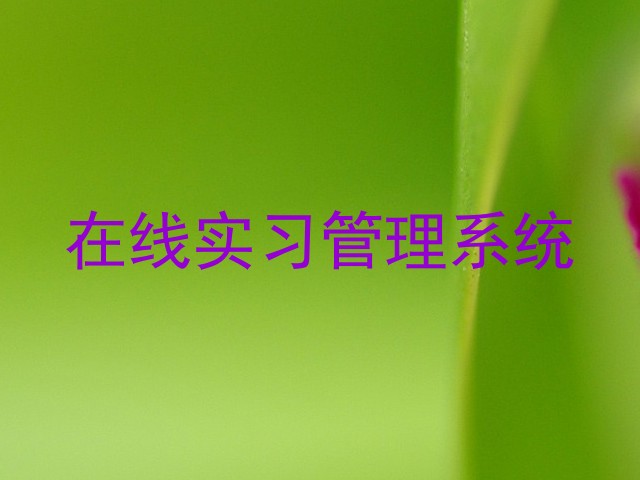 在线实习管理系统