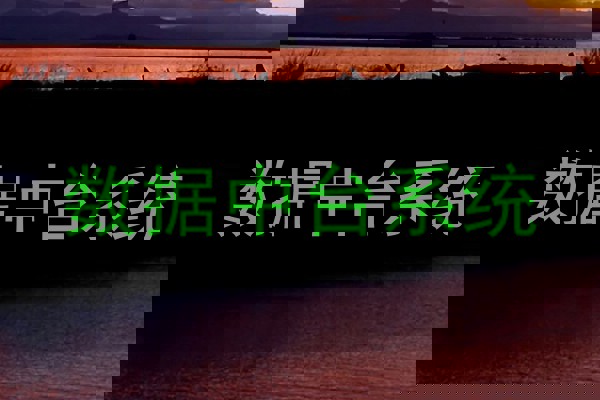 数据中台系统