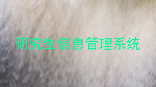 研究生信息管理系统