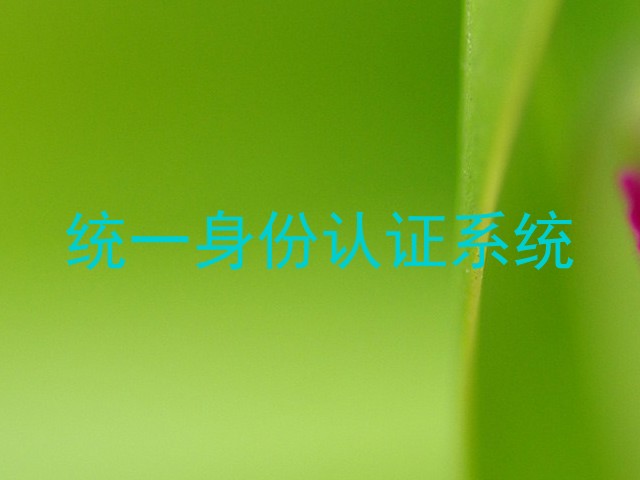 统一身份认证系统