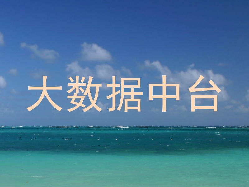 大数据中台