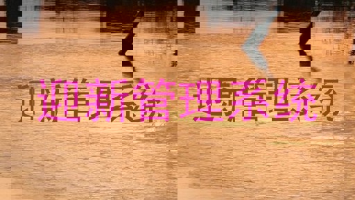 迎新管理系统