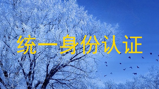 统一身份认证