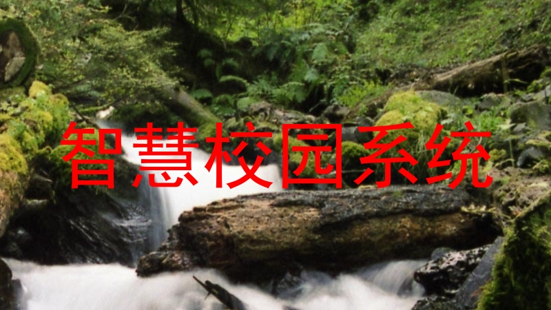 智慧校园系统