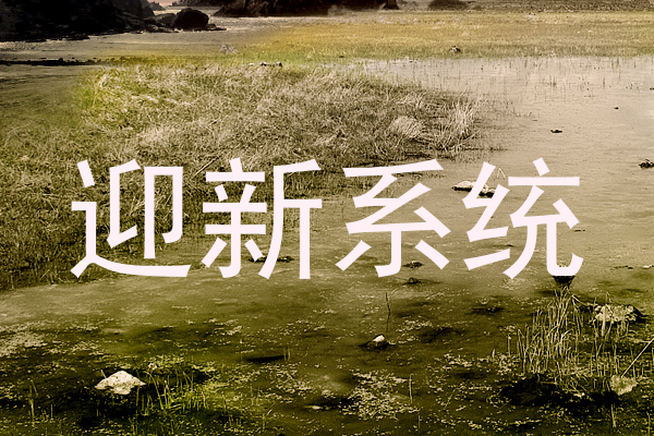 迎新系统