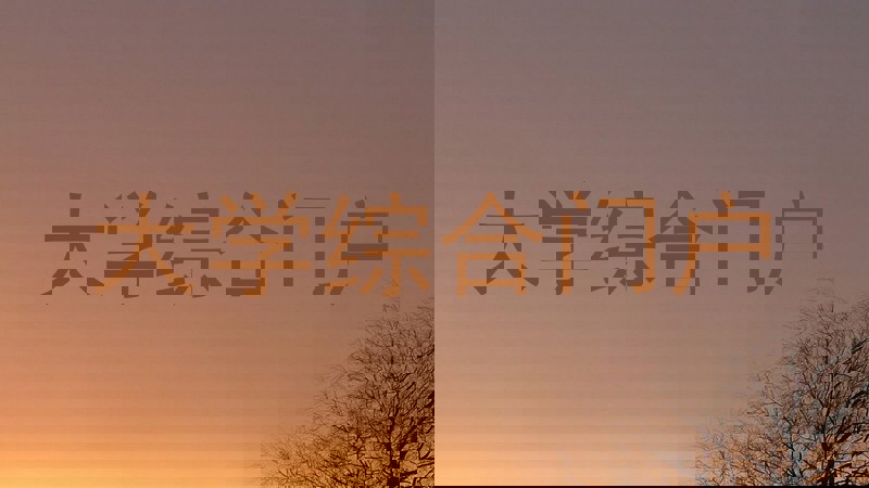 大学综合门户
