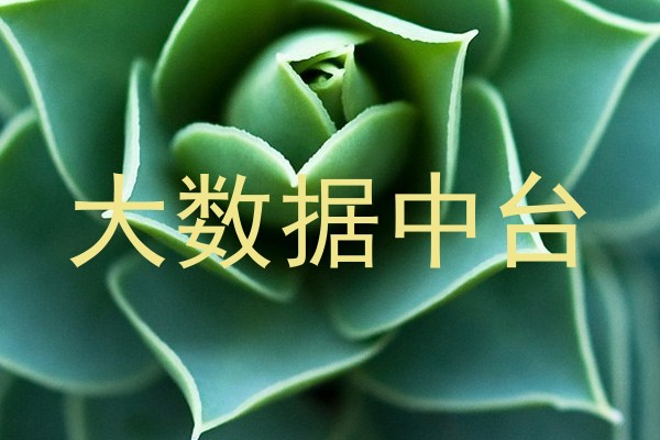 大数据中台
