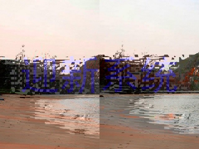 迎新系统